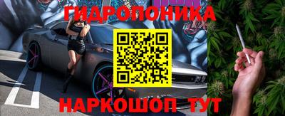 a pvp Новокубанск