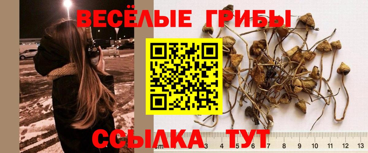 Галлюциногенные грибы MAGIC MUSHROOMS  Галлюциногенные грибы MAGIC MUSHROOMS  Вход с VPN  Унеча 